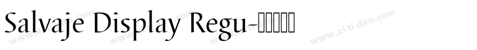 Salvaje Display Regu字体转换
